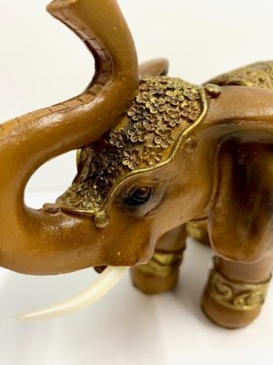 elefante grande