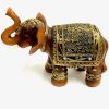 elefante mediano