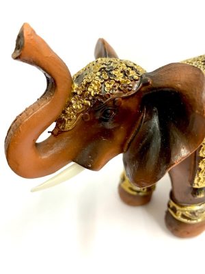 elefante mediano